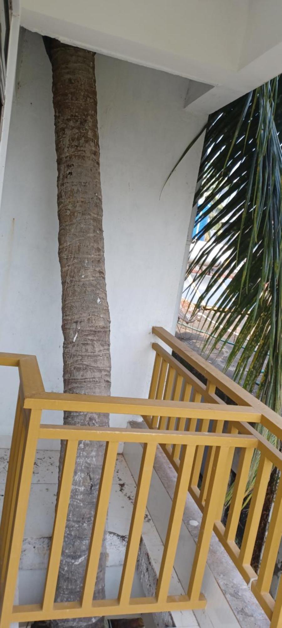 Prakash Holiday Inn Arambol Exterior photo